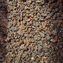 Thailand Oolong Doi Tung Gu Shu