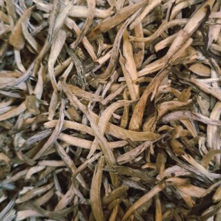 China Yin Zhen Silver Needle